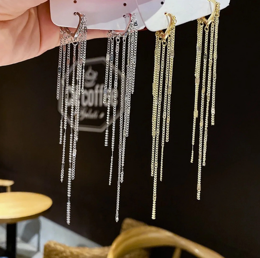 Silver Tassel Earring